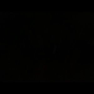 Meet your Posher, Alexia